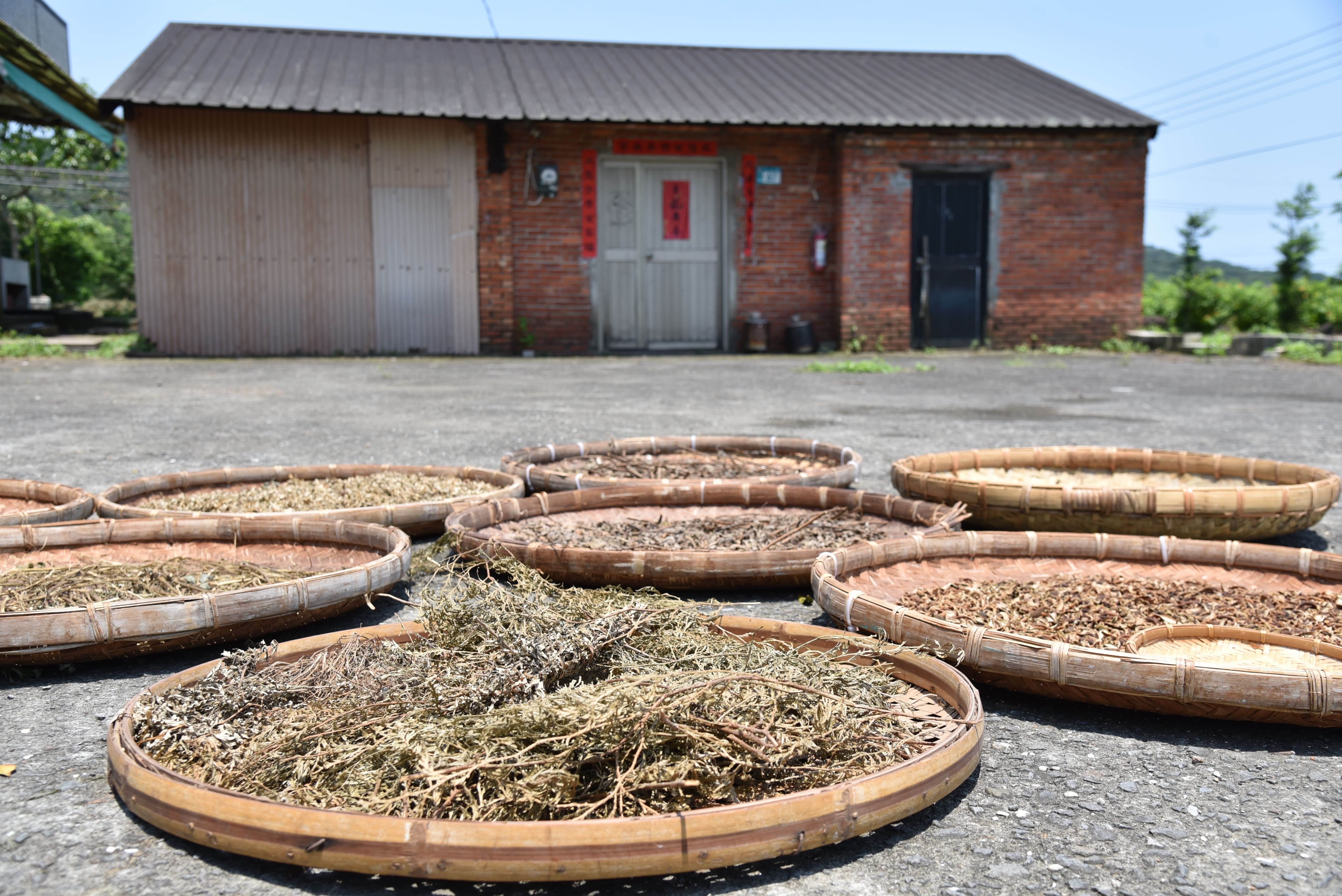 「阿原農場」耗費了20年的光陰，精選能適應強酸地質的火山艾。（圖／阿原肥皂提供）