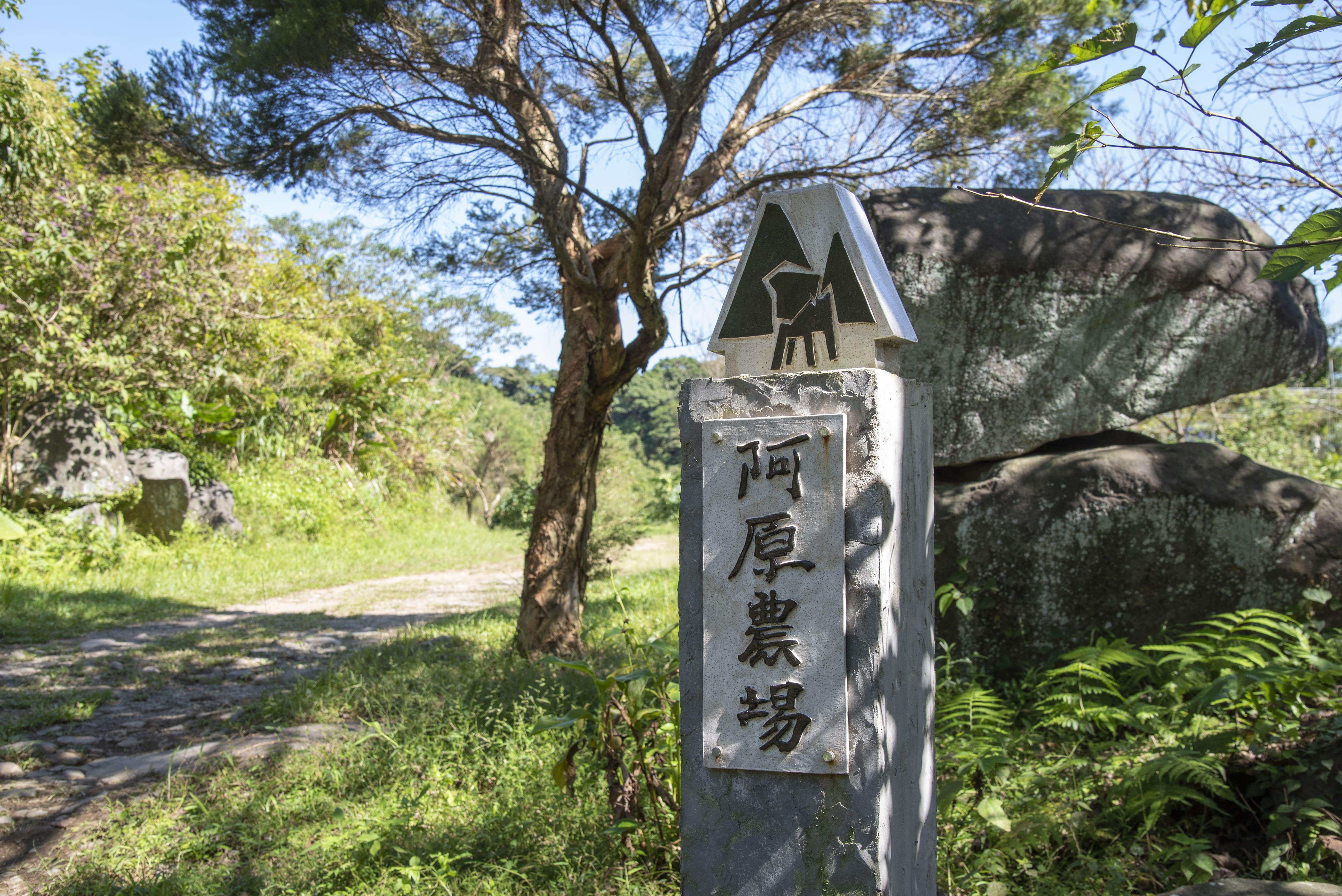隱身於陽明山霧林間的「阿原農場」，默默守護著最具韌性的草本能量。（圖／阿原肥皂提供）