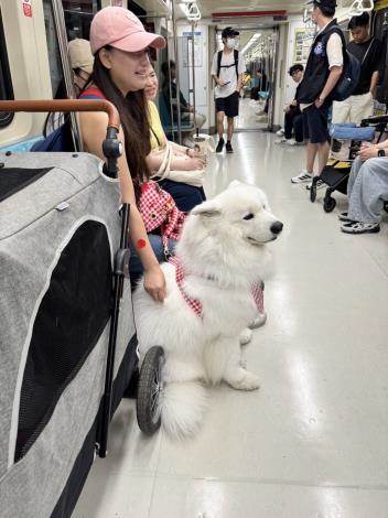 91707347-ef97-413a-8787-eb72058f3b35@710x470