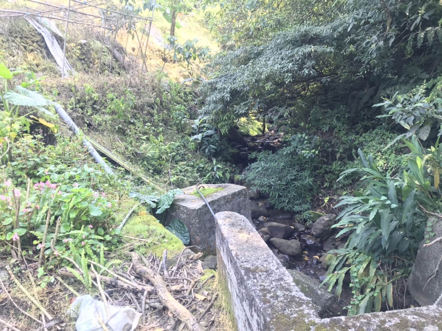 為了邊坡安全，石碇大崙山特水區預計將進行溪溝整治。（圖／新北市政府農業局提供）