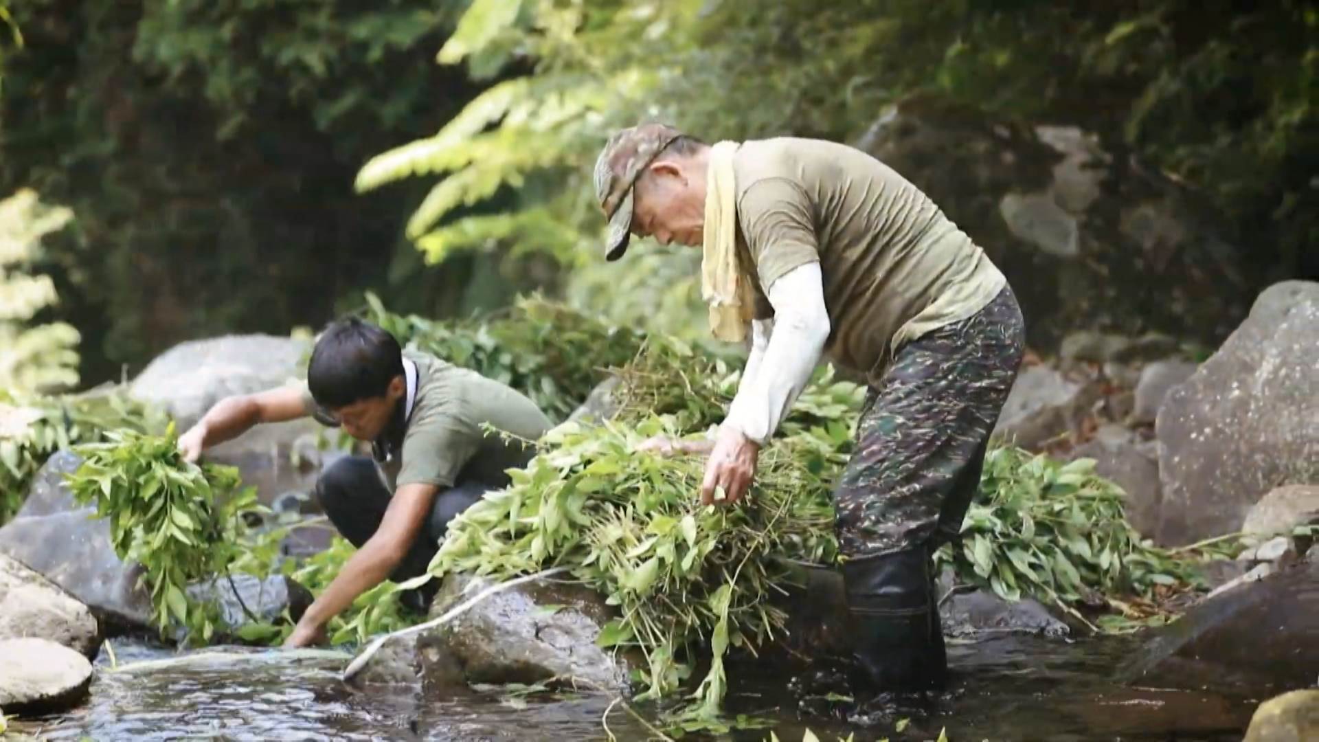 序列 18.00_00_15_10.Still037