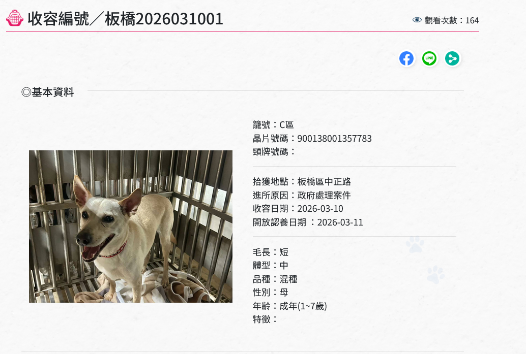 板橋動物之家收容編號_0