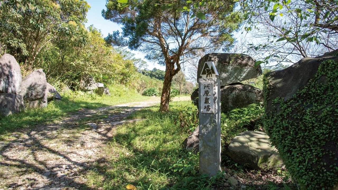 阿原肥皂以台灣在地植物為本，將青草智慧融入每一次洗沐體驗。（圖／阿原）