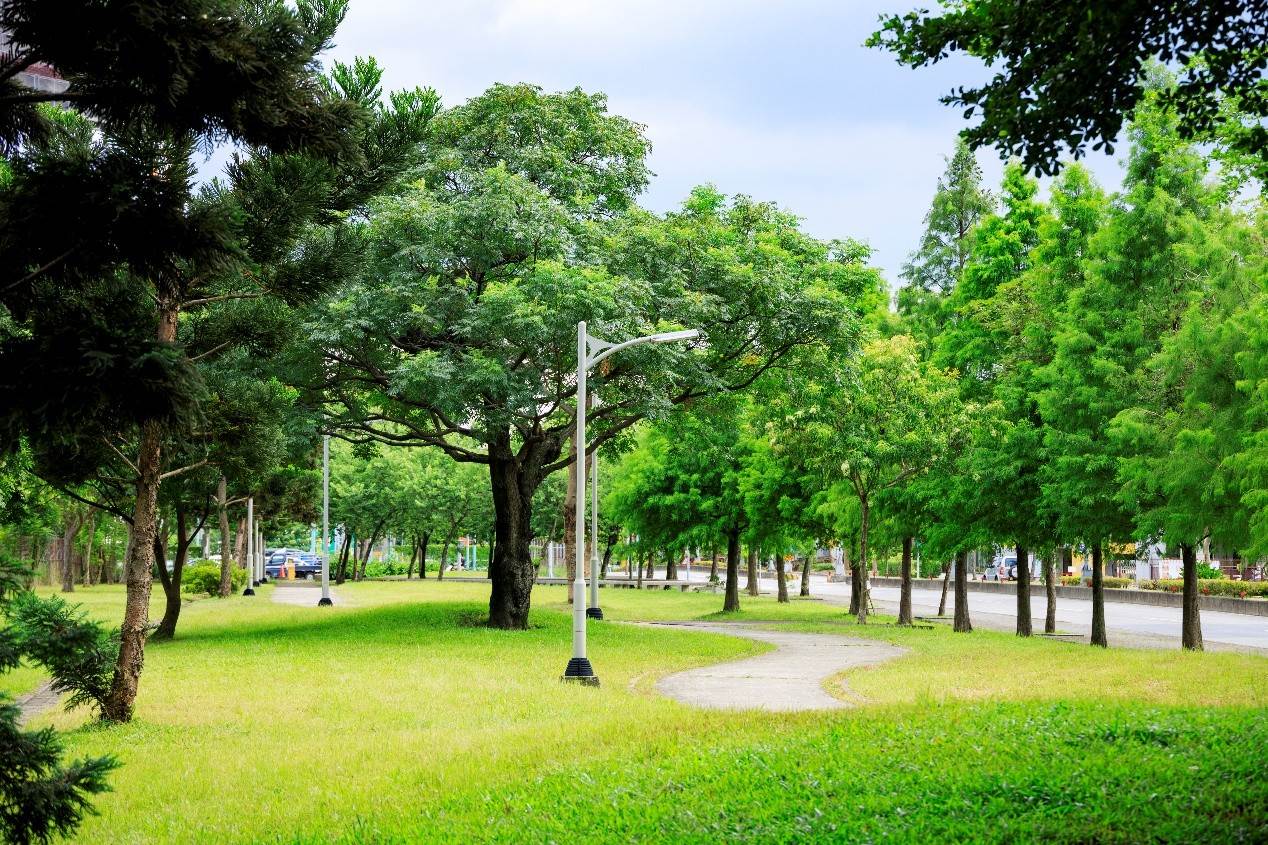 「日安PARK」基地面積約 1753 坪，正對千坪雙社公園。（圖／業者提供）