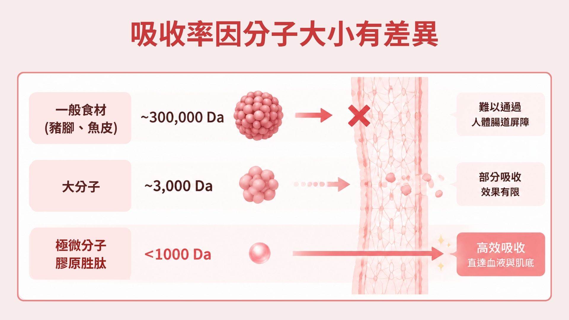膠原蛋白只要吸收率夠高,對於輔助美麗是絕對有正向關聯的。(圖/AI生成)