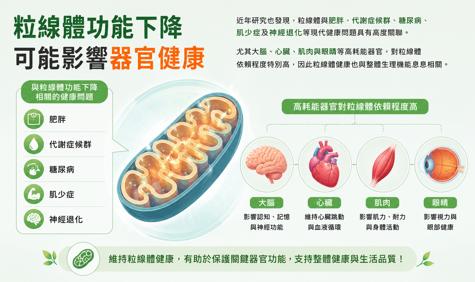 醫學界關注粒線體醫學,視為健康老化的重要方向。(圖/業者提供)
