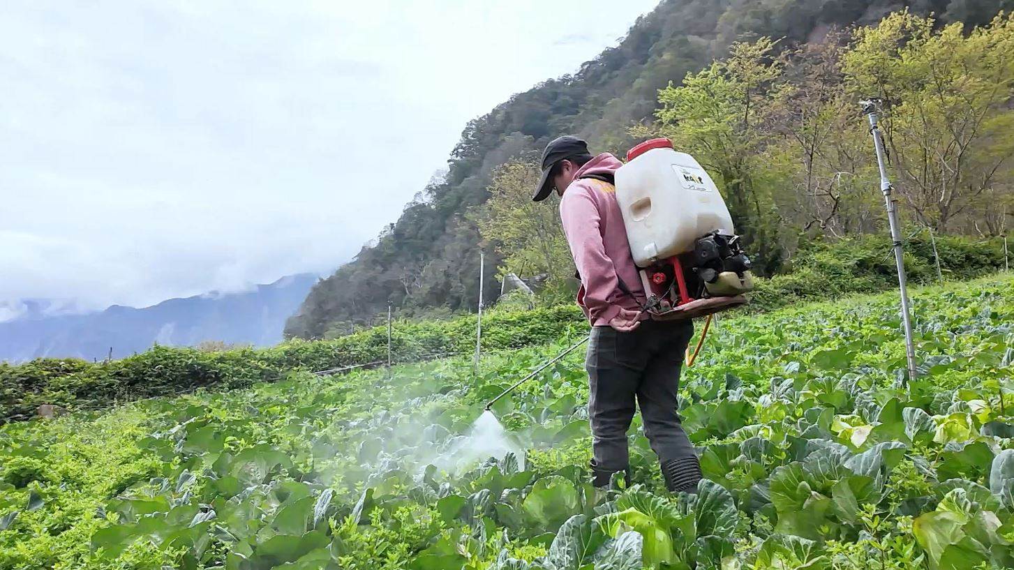 圖三:張羽廷透過使用益生菌來降低病蟲害密度 。.JPG