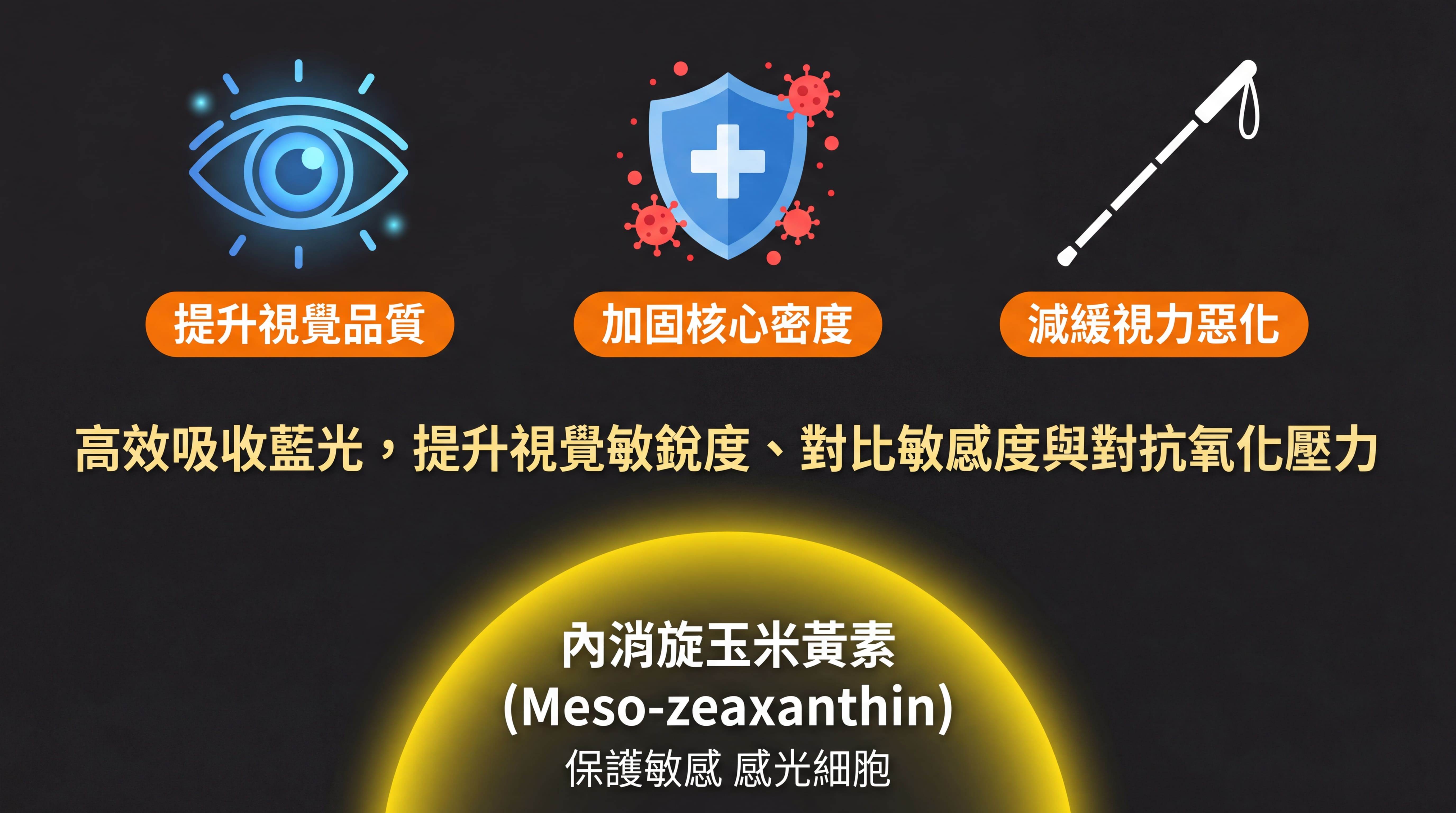 定量補充足量內消旋玉米黃素,有助於穩定黃斑色素密度並維持眼底細胞微循環健康。(圖/東森新聞)