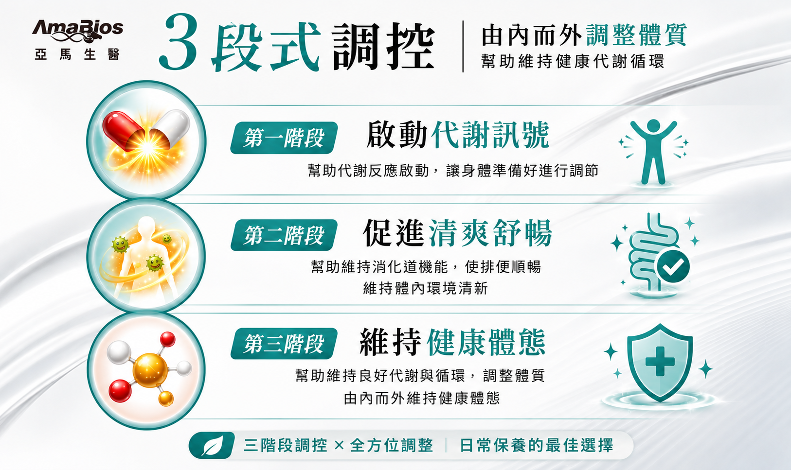透過三段式調控機制,由內而外協助維持健康代謝循環。(圖/業者提供)