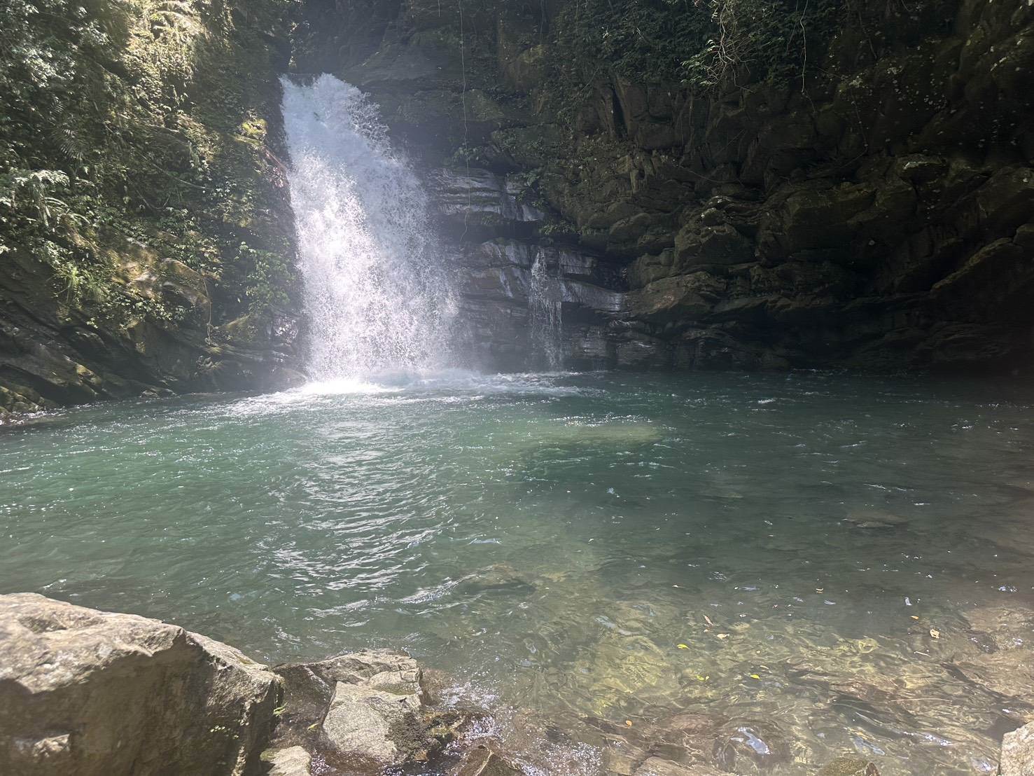 S__107921470_0