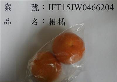 澳洲柑橘