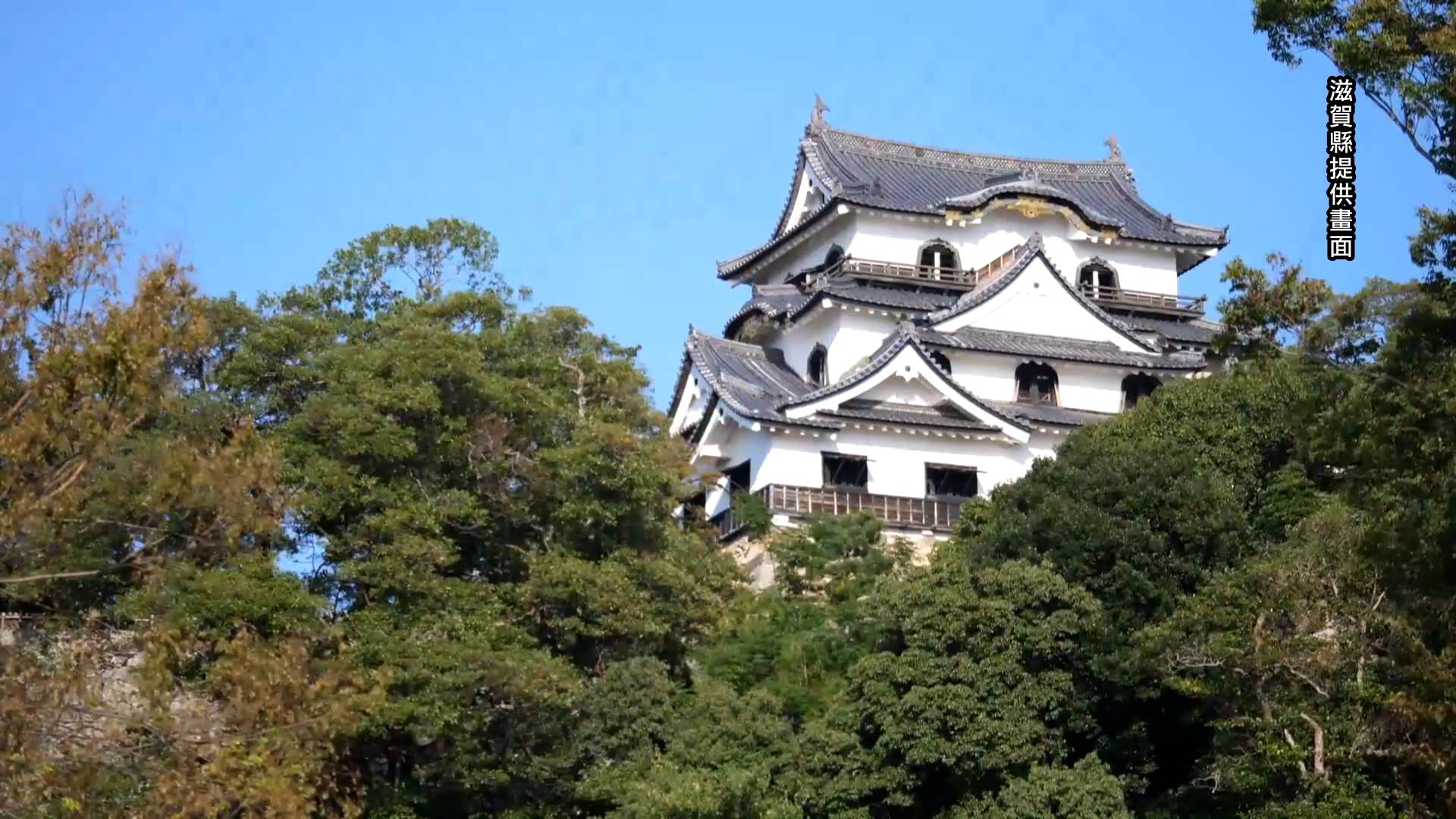 臺南、日本友誼市景點互惠計畫擴大合作,滋賀縣知名景點彥根城成為推薦旅遊亮點之一。(圖/台南市政府提供)