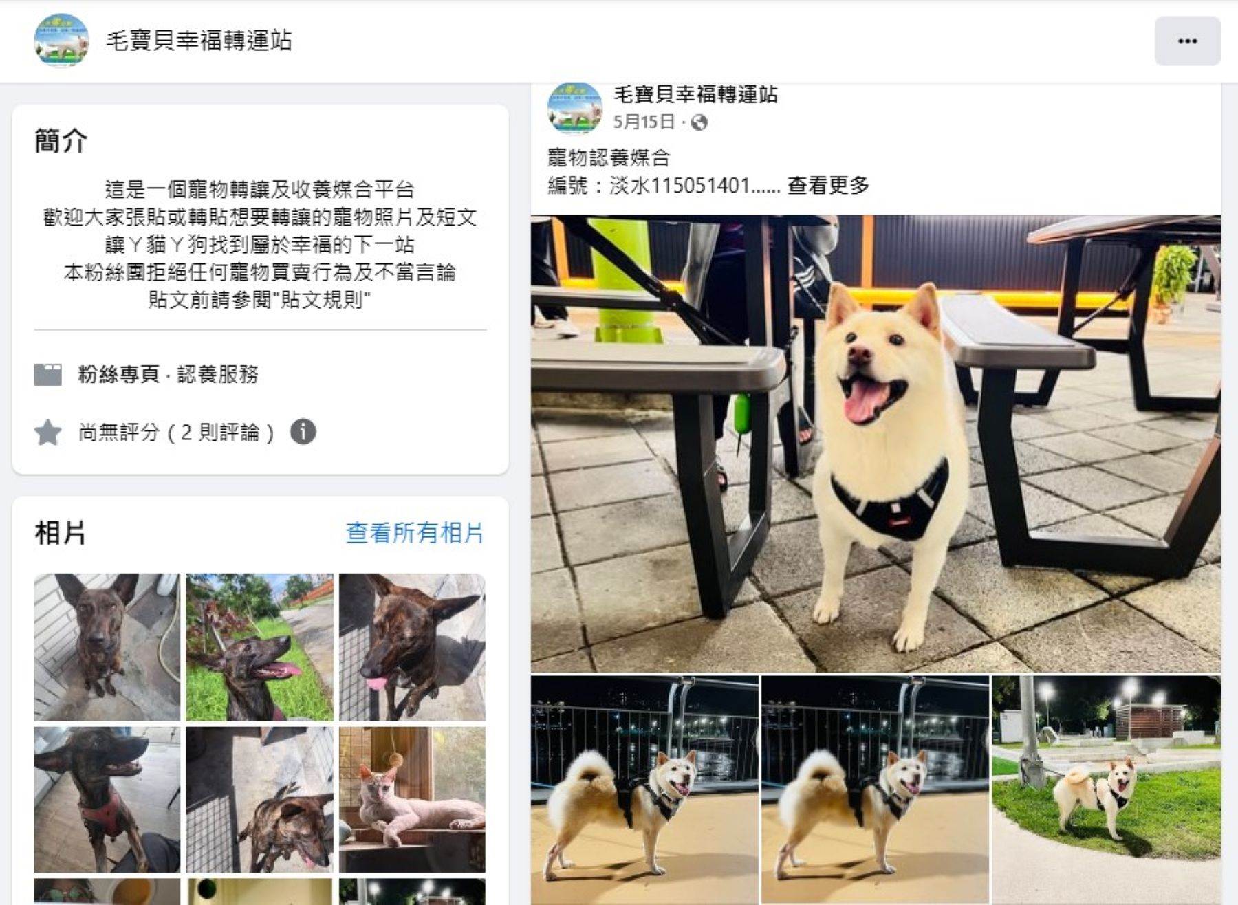 透過動保處「毛寶貝幸福轉運站(連結網址httpsreurl.ccv53GA1)」,轉介適合的飼主。