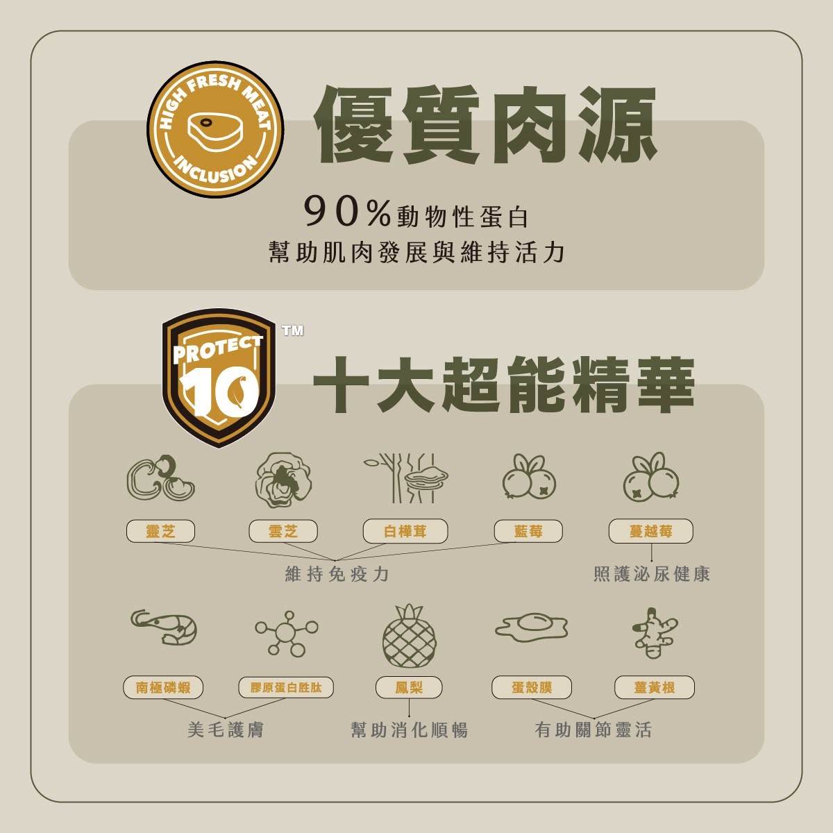 CHARM野性魅力結合高動物性蛋白、Protect10™十大超能精華與Powergreens高營養綠蔬，打造毛孩每日完整營養。（圖／今天誰帶路提供）