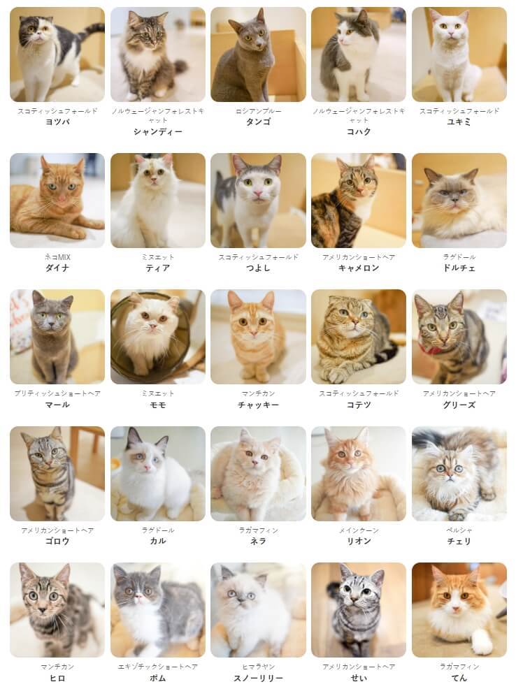 738x986_wmkn_680212346191_0