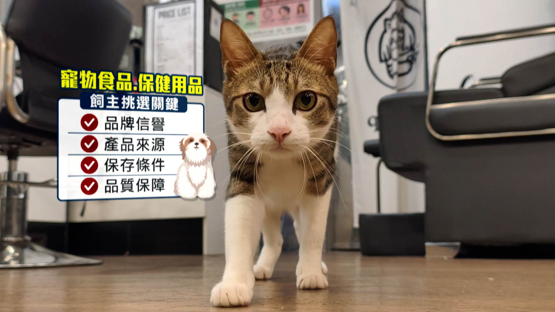 現代飼主愈來愈重視毛孩健康照護，選購寵物用品更注重品牌與品質保障。（圖／東森新聞）