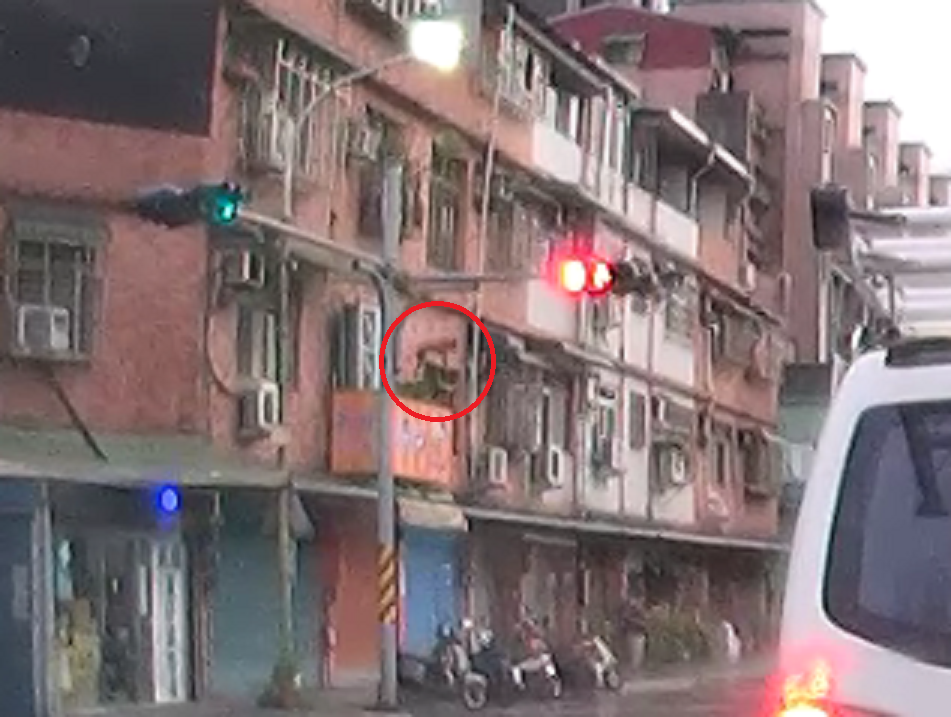 無路可走的犬隻墜落