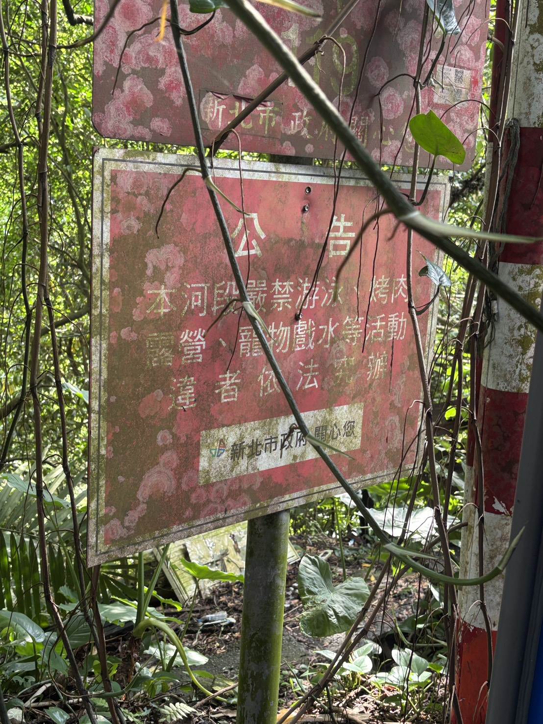 S__48447581