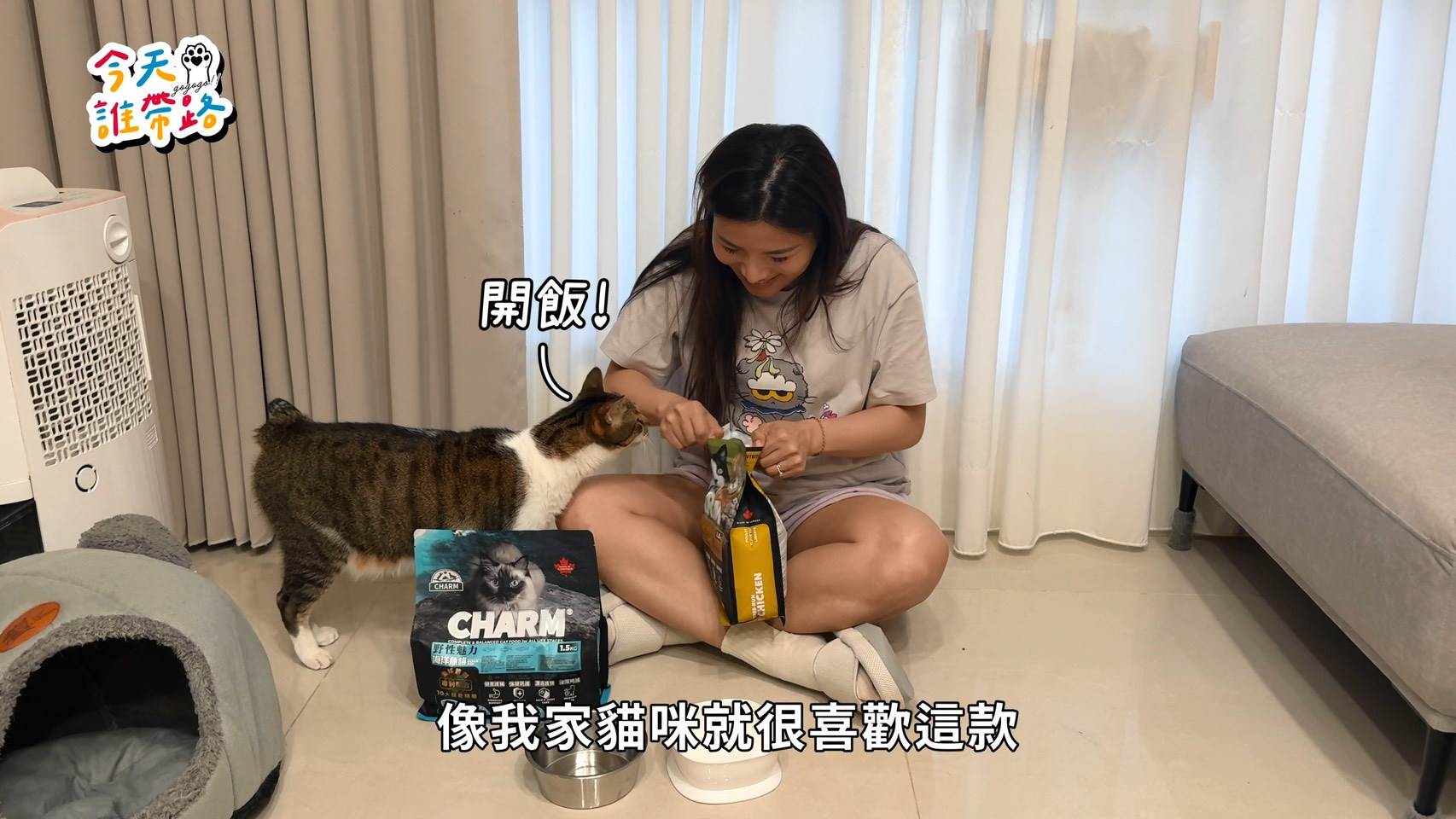 ▲董仔分家中貓咪日常飼料挑選,首重食材與配方。(圖/今天誰帶路提供)