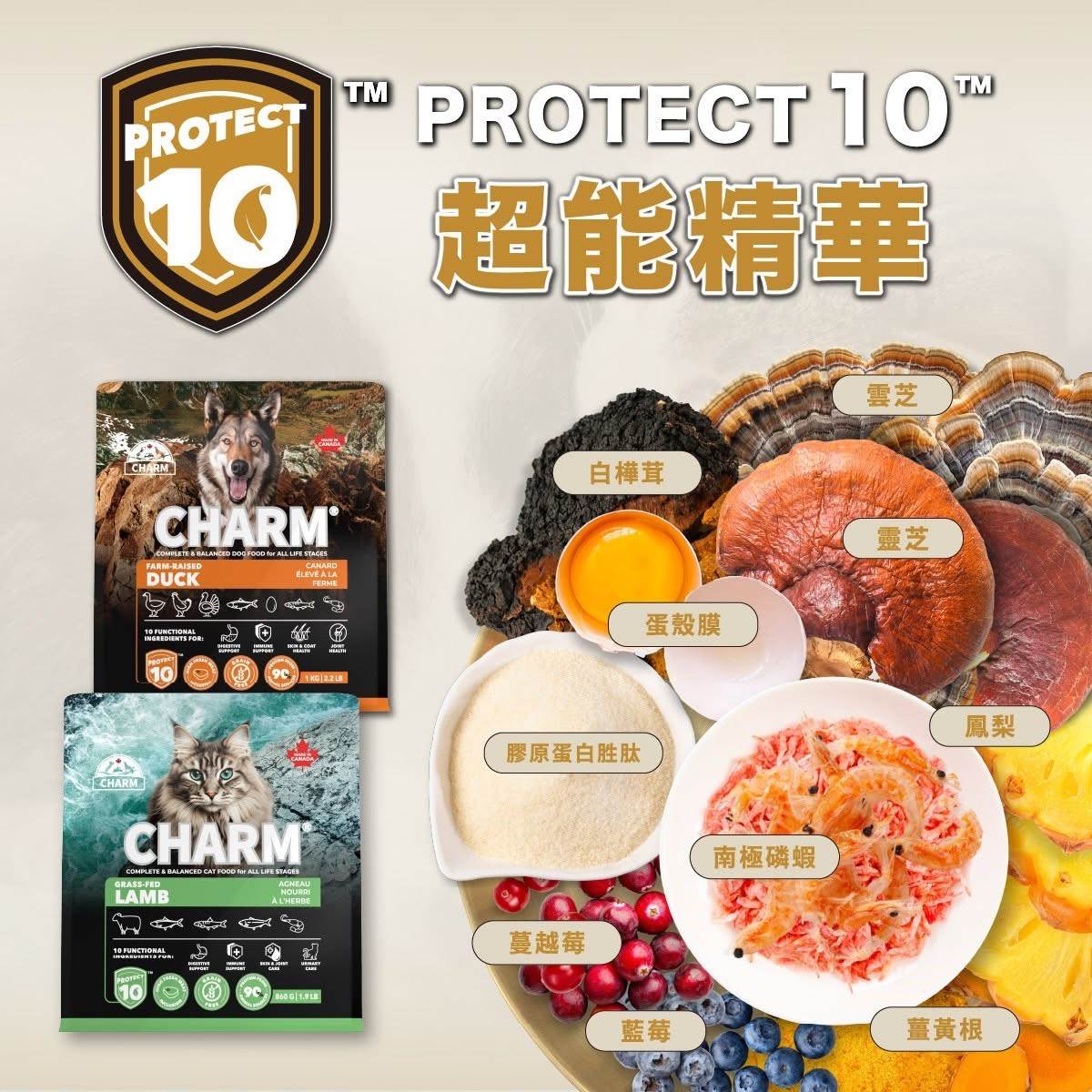 ▲野性魅力每款配方含有雙重獨家機能精華營養組合:Protect10™ 十大超能精華 與 Powergreens 高營養綠蔬。(圖/今天誰帶路提供)