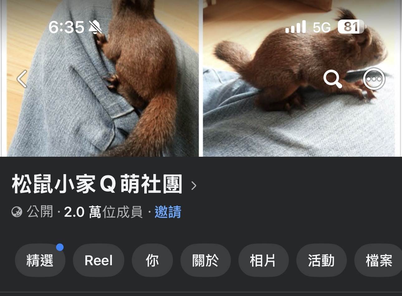 私養臺灣原生松鼠臉書社團
