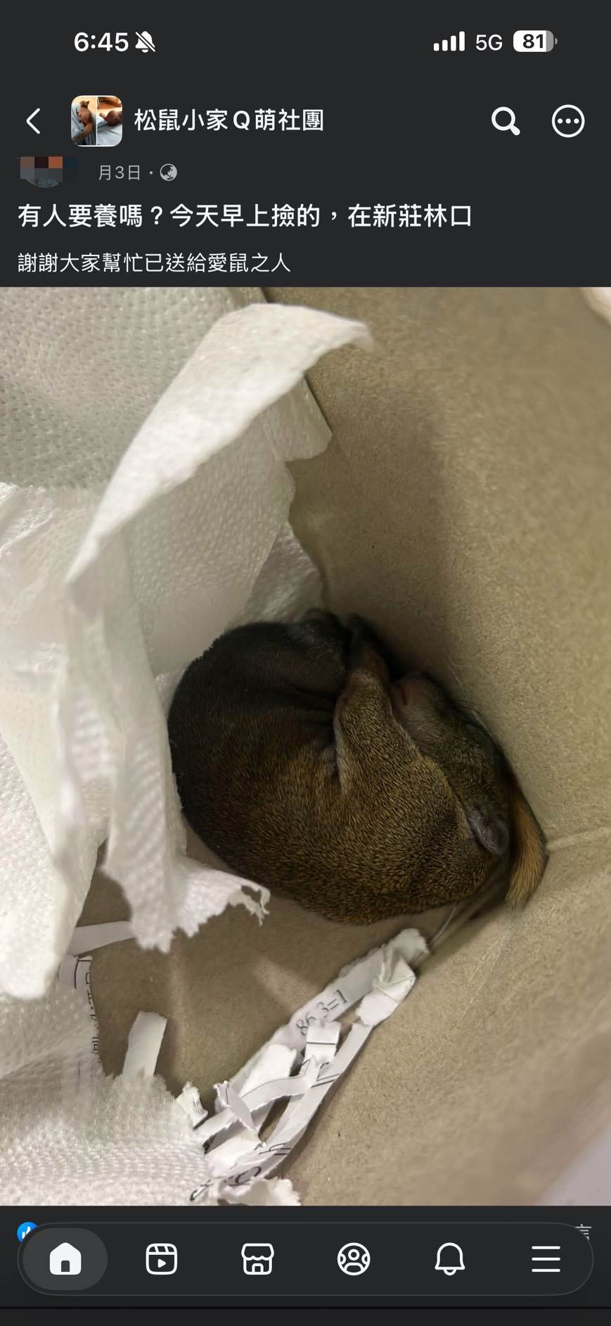 社團內送養相關貼文