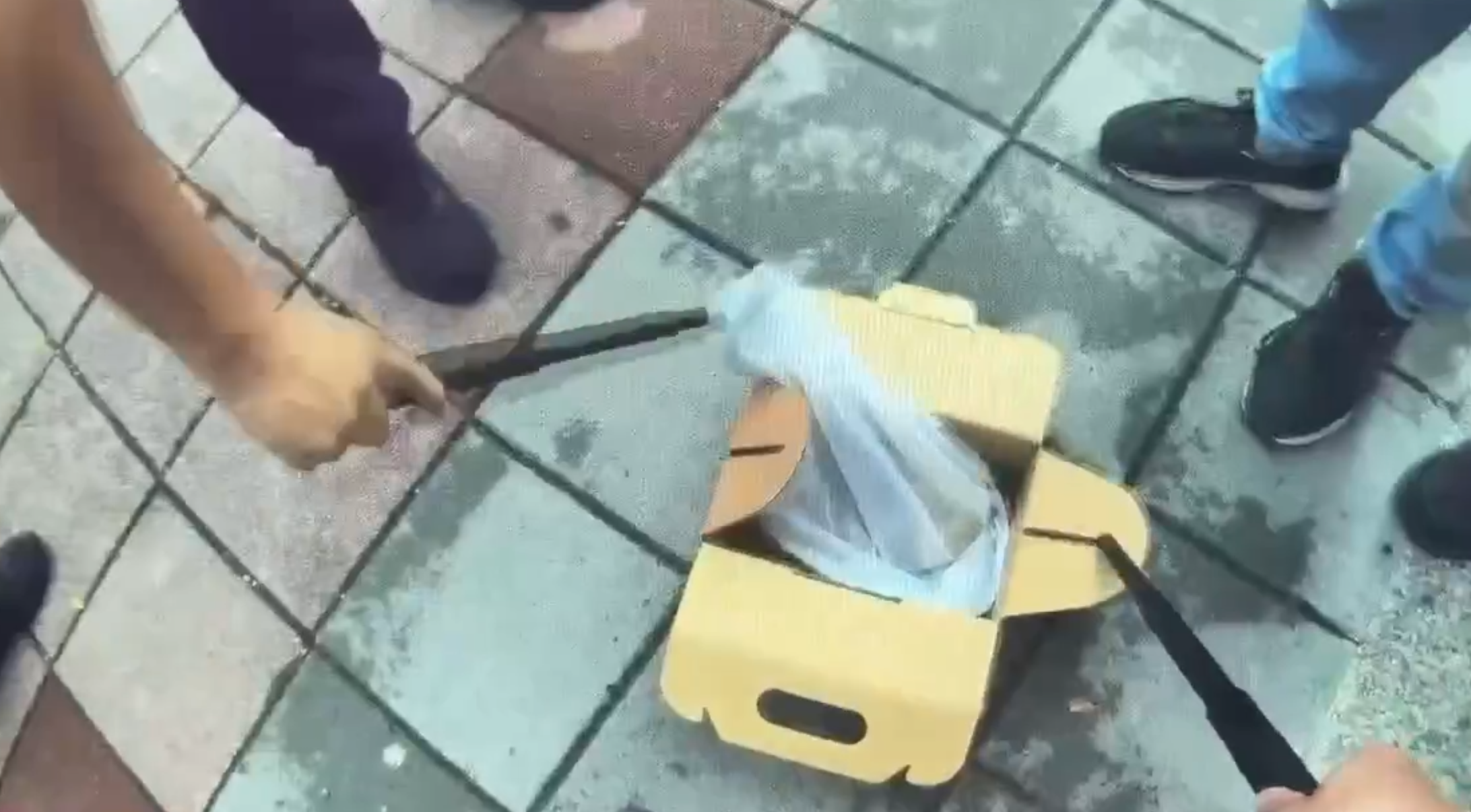 嫌犯丟蛇。