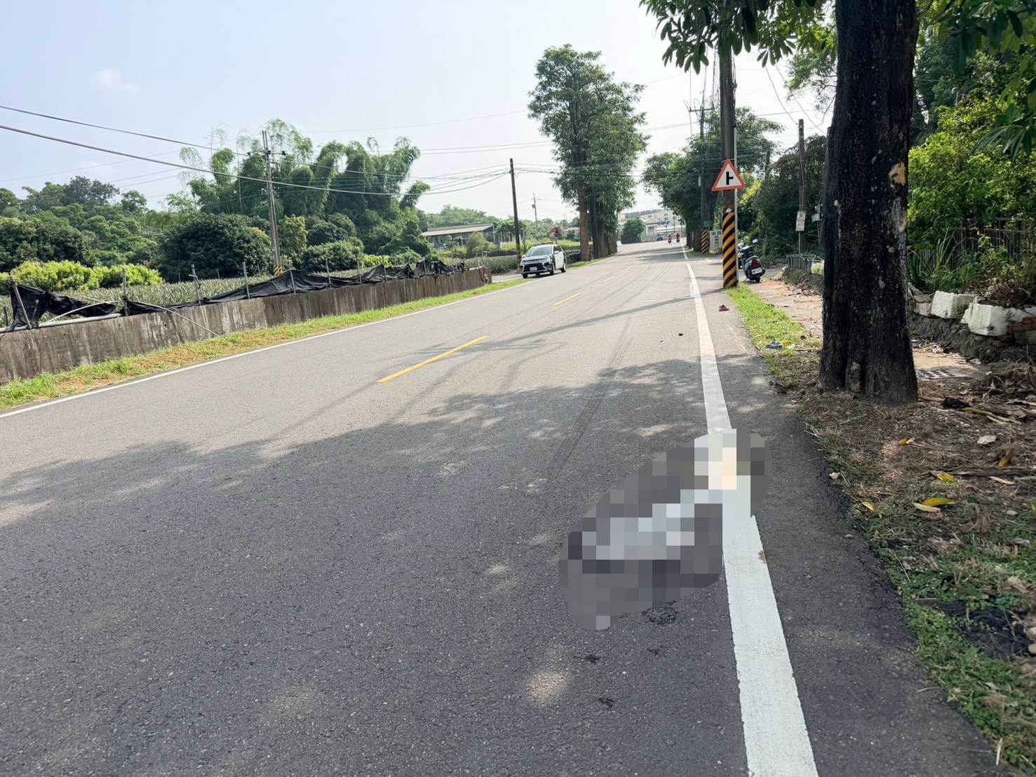 陳姓男子毒駕後撞死婦人又肇逃。翻攝畫面