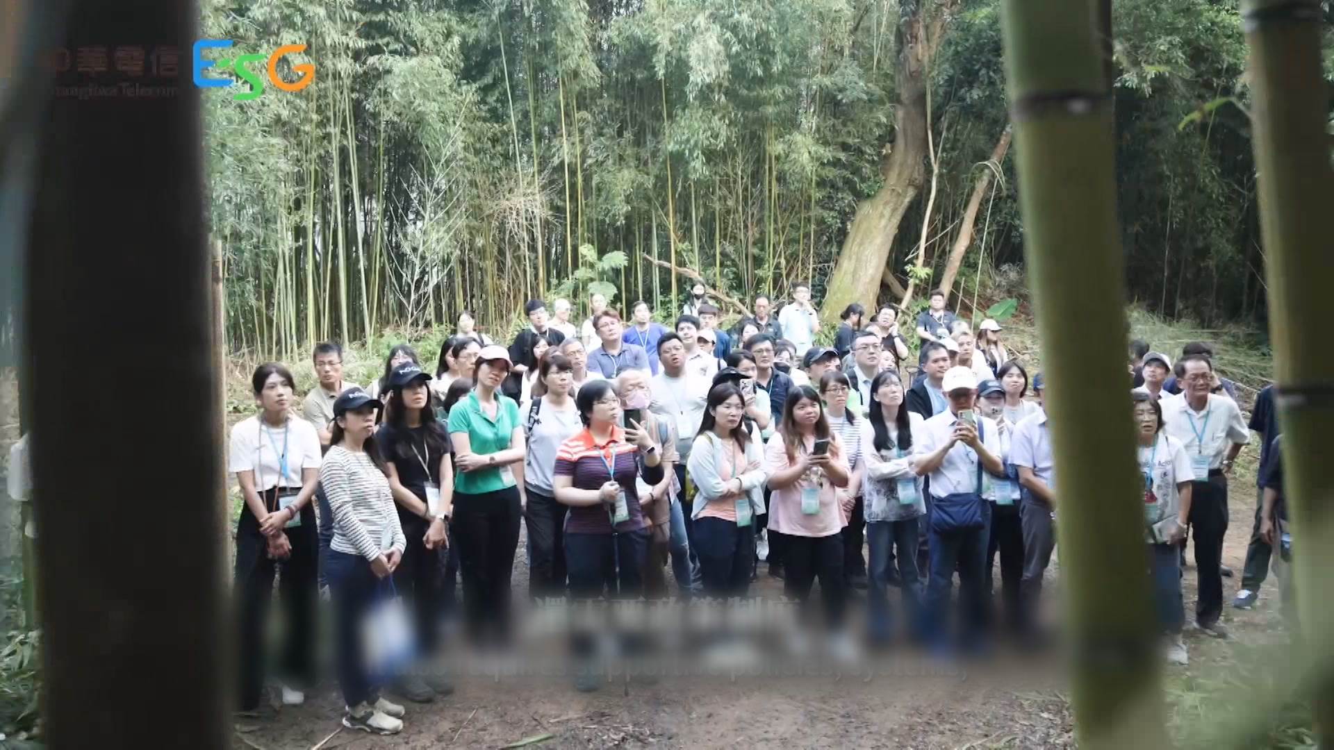中華電信在桃園泰雅部落推動竹林復育、竹材生產與利用,提升自然碳匯效益,同時創造部落工作機會。(圖/東森新聞)