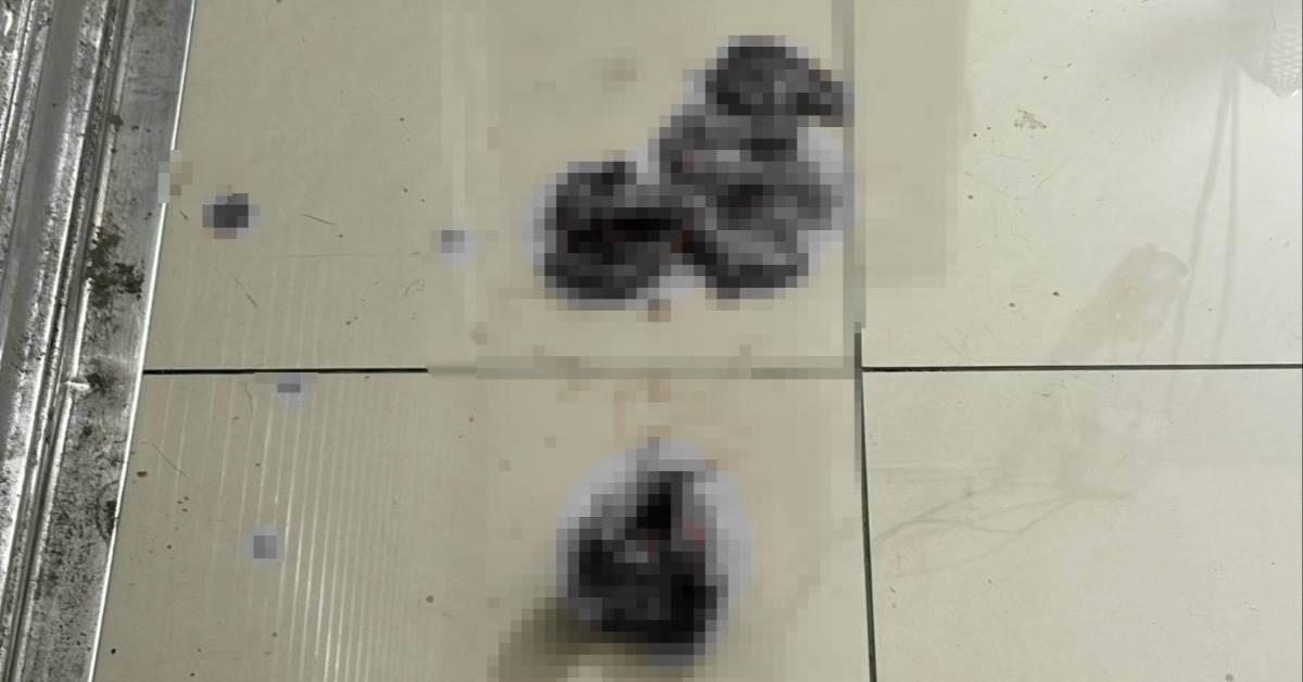 1791921276_20564