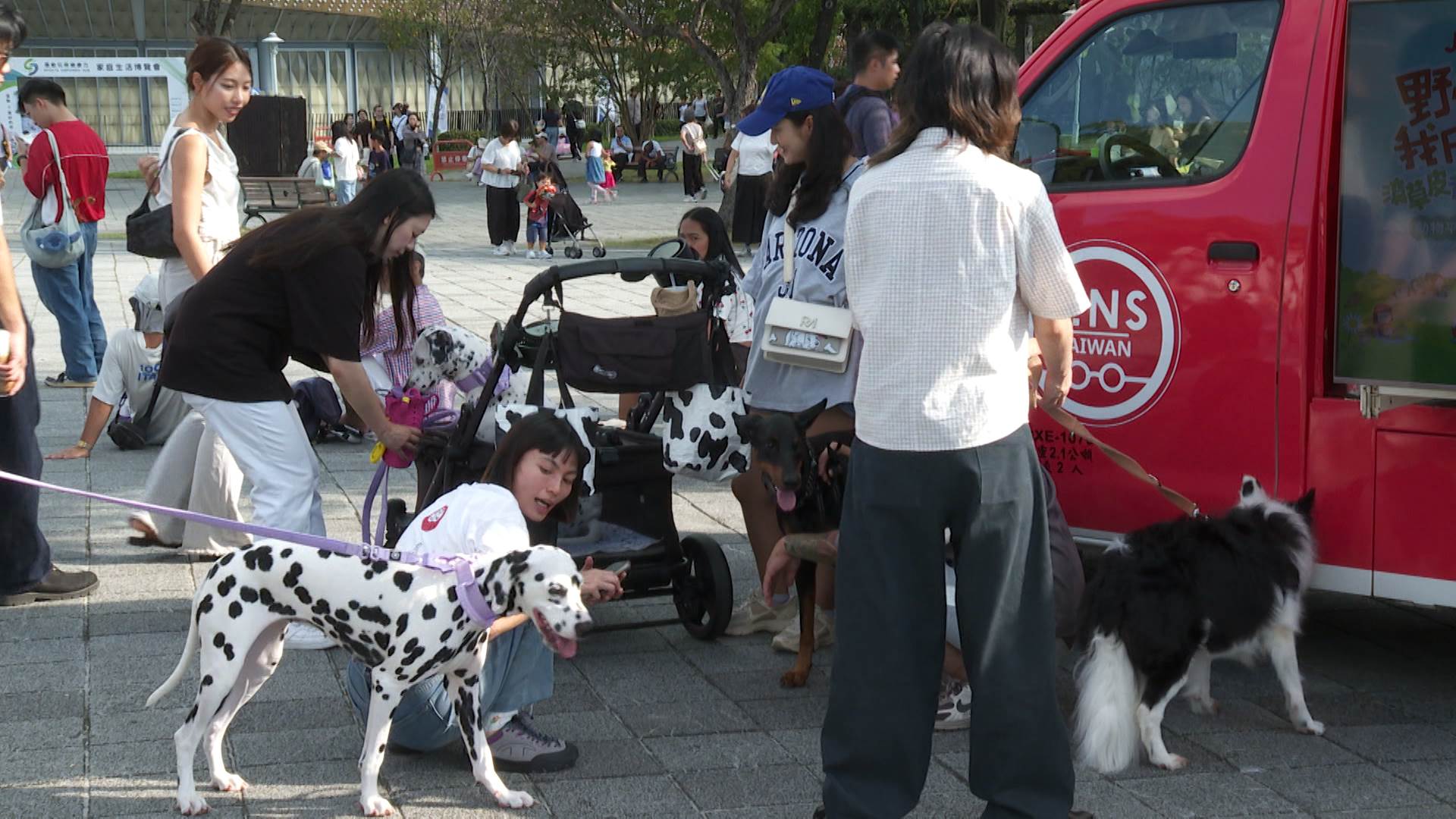 民眾帶著自家愛犬參與市集活動,現場充滿毛孩互動的熱鬧氣氛。(圖/東森新聞)