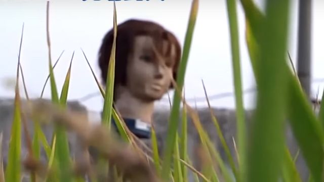 田裡驚見「人頭」 農民：都是鳥害的！