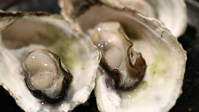 史上最貴！ 王功蚵仔 每斤飆到160元