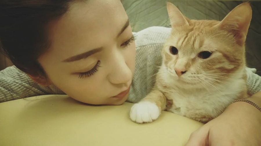 「Dream girls」不合 排擠說郭雪芙哽咽