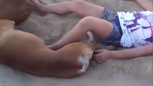 最猛逆襲!別招惹毛孩兒!否則下場…