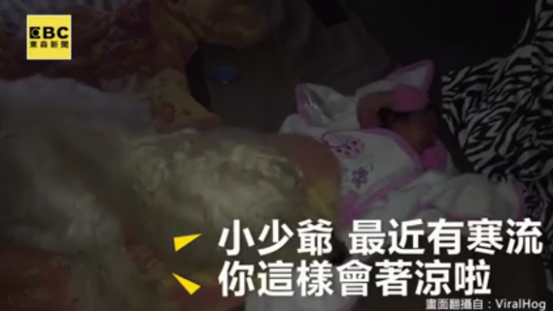 融化了!狗狗怕小主人著涼 所以做了這個動作