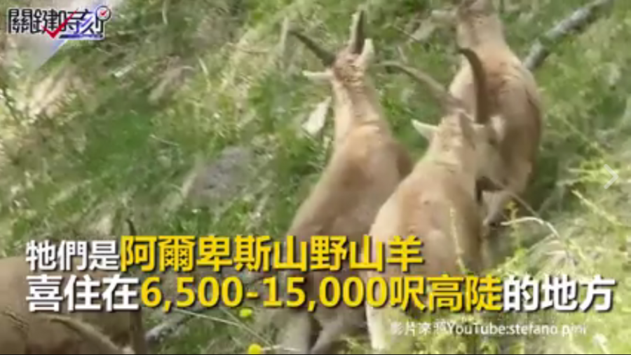 2200公尺巨壩驚見黑影武士!只因…