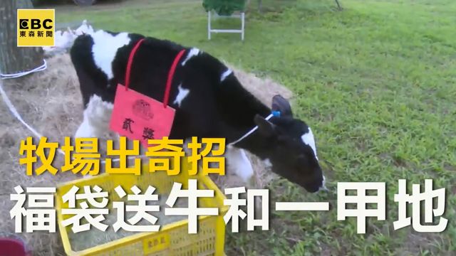 牧場出奇招 福袋送牛和一甲地