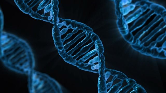 人扮演上帝? 英批准人類胚胎基改 道德挑戰