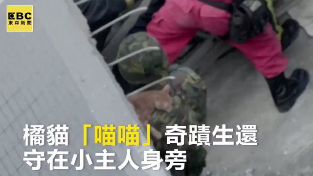 有洋蔥!小橘貓「喵喵」守護主人不離不棄