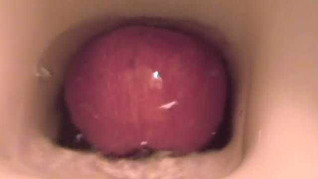 「翻滾吧!蘋果」 竟讓690萬網友...