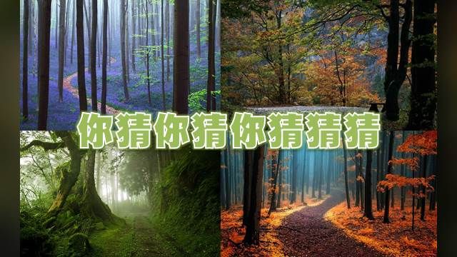 世界十大絕美森林!你猜得出哪張是台灣嗎?