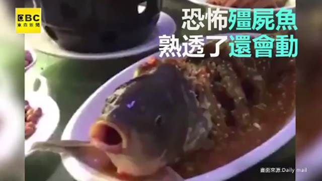 「我的肉好吃嗎?」 餐桌上驚見殭屍魚
