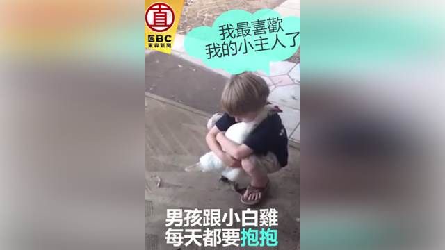 換髮型錯了嗎?母雞躲開主人抱抱求認證