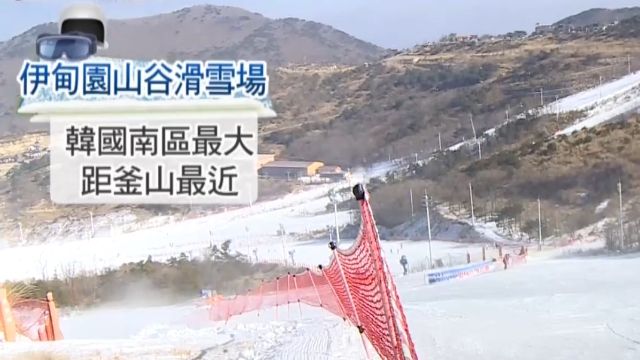韓國南部最大雪場！ 前進釜山玩滑雪