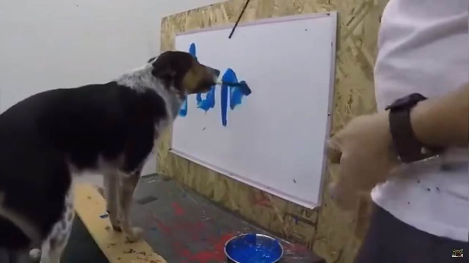 超級神犬?!汪星人嘴刁畫筆 竟寫出自己的名