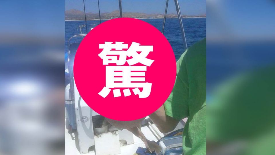 外星生物?墨西哥海域驚見「綠色眼睛」怪魚!