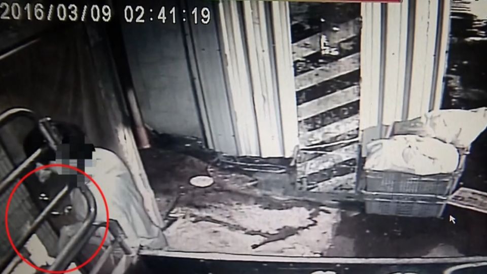 「這家好偷」每次都來 慣竊連偷 店家氣炸