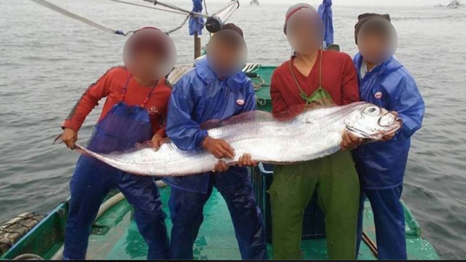 ​宜蘭外海捕獲地震魚？網友：放了牠吧！