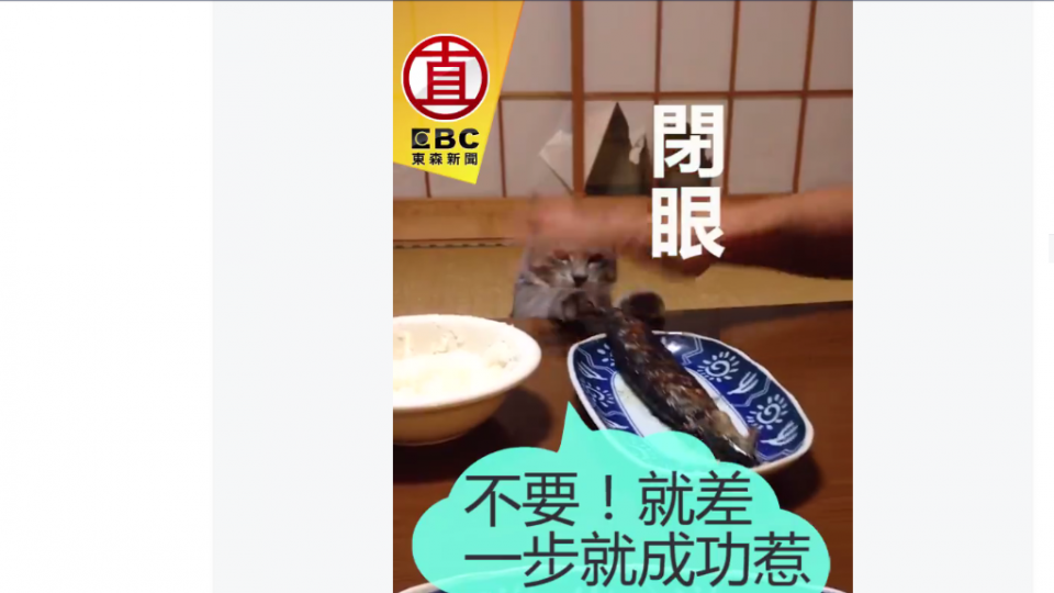 烤魚的誘惑!讓喵星人甘冒被打手心風險也要偷吃